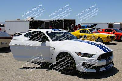 media/May-07-2022-Cobra Owners Club of America (Sat) [[e681d2ddb7]]/Around the Pits/